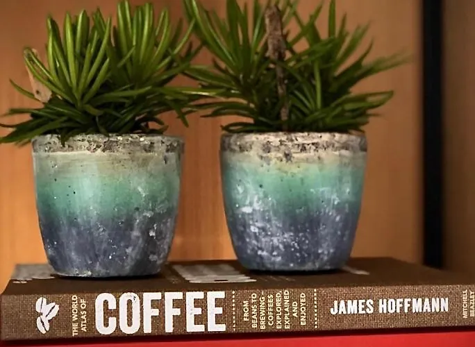 The Matter Meaningful アパート