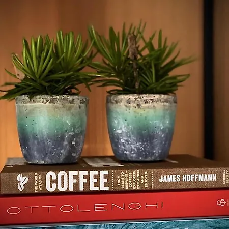 The Matter Meaningful Appartement