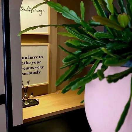 The Matter Meaningful Apartament