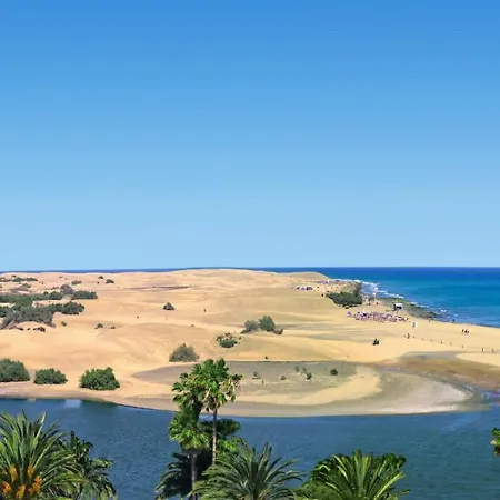 The Matter Meaningful